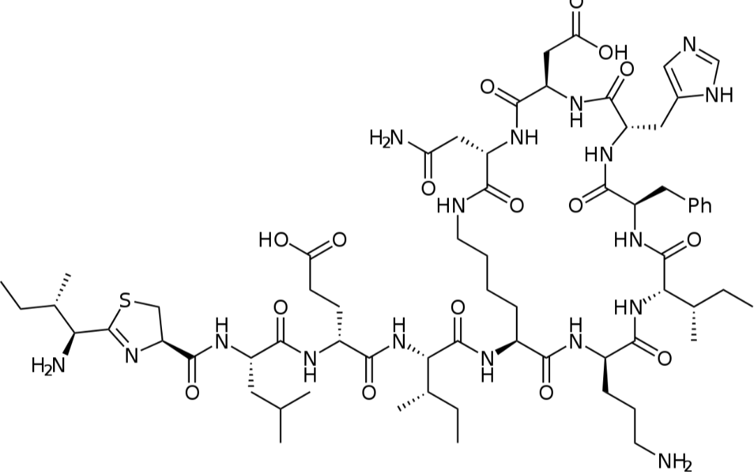 Bacitracin molecular structure mode of action 